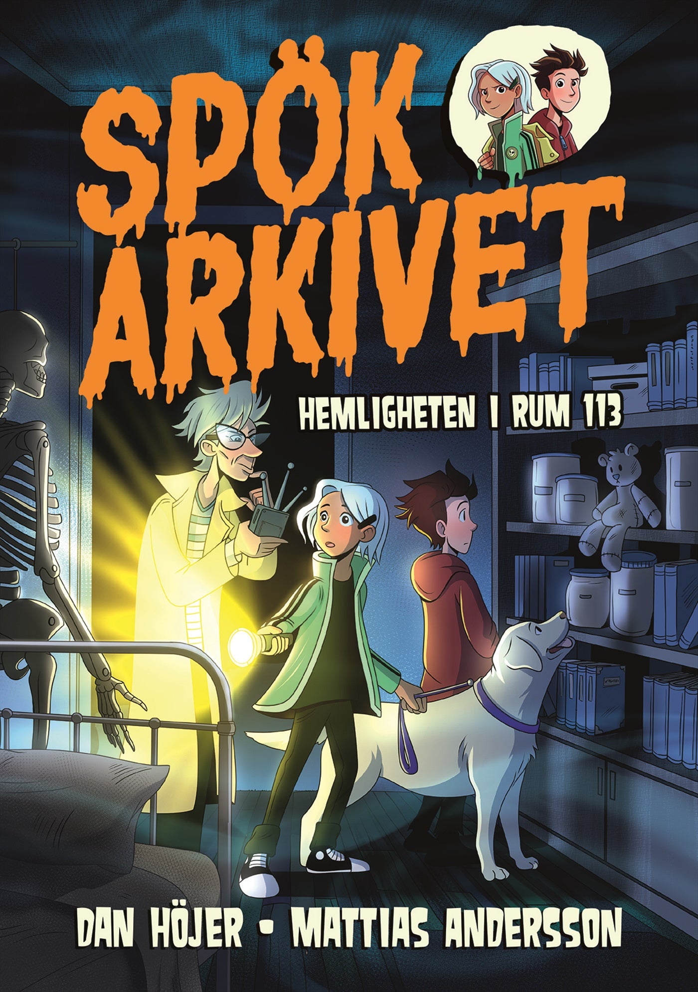 Hemligheten i rum 113 – E-bok