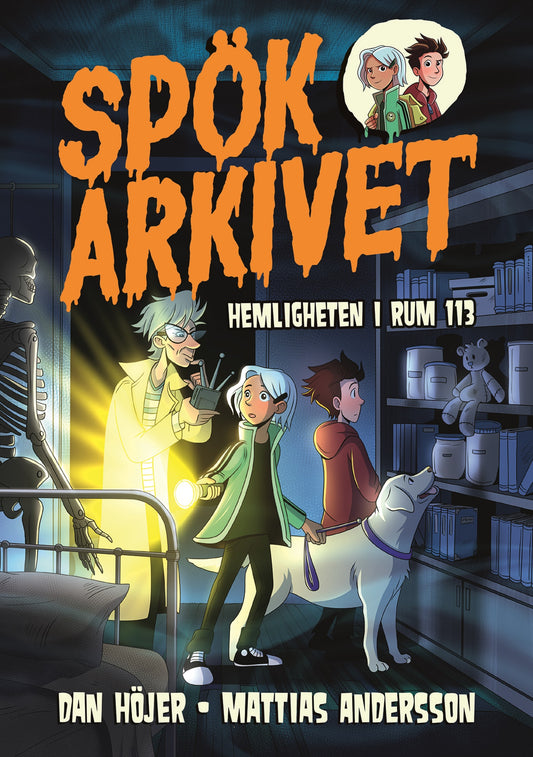 Hemligheten i rum 113 – E-bok