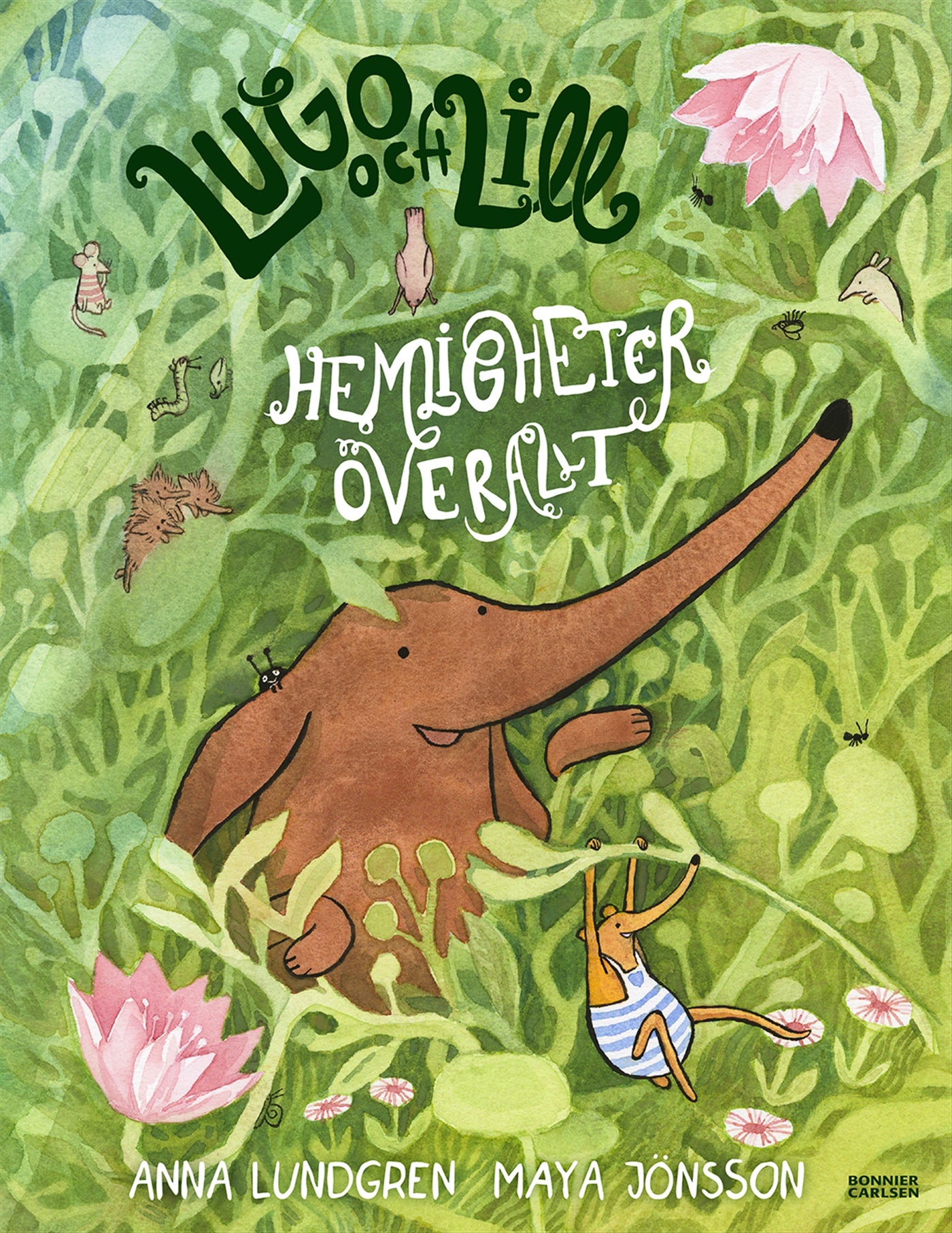 Hemligheter överallt – E-bok