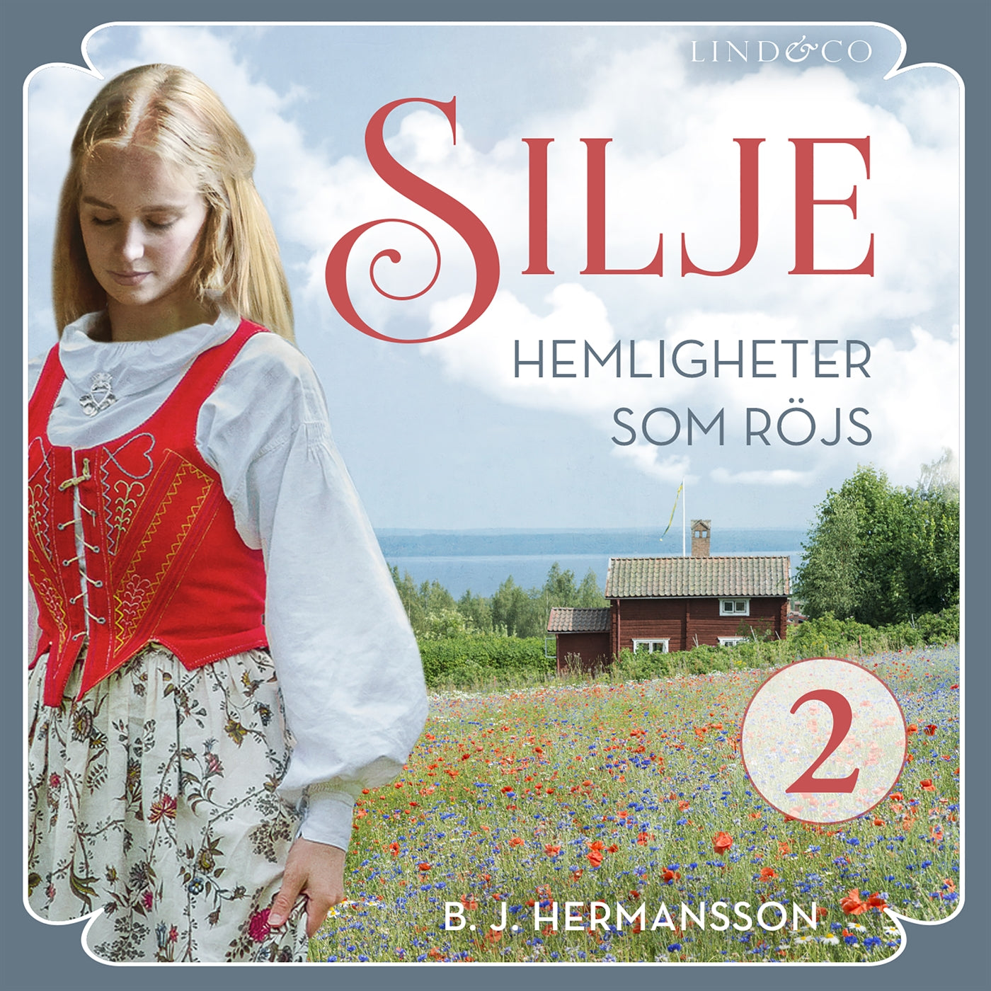 Hemligheter som röjs  – Ljudbok