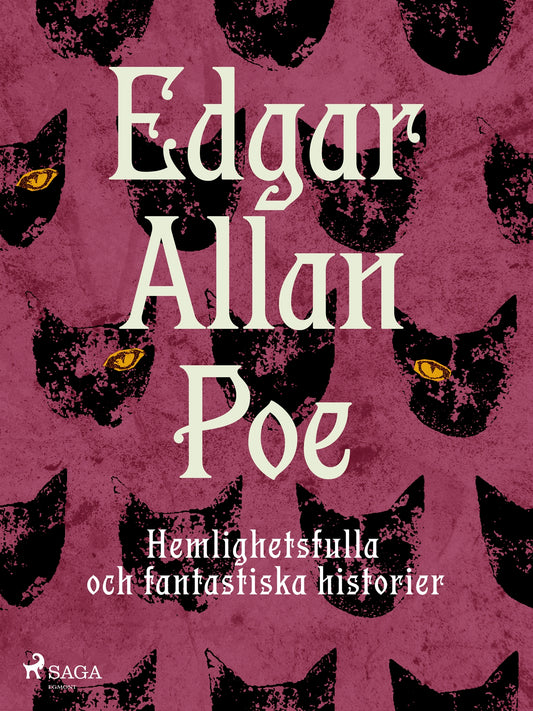 Hemlighetsfulla och fantastiska historier – E-bok