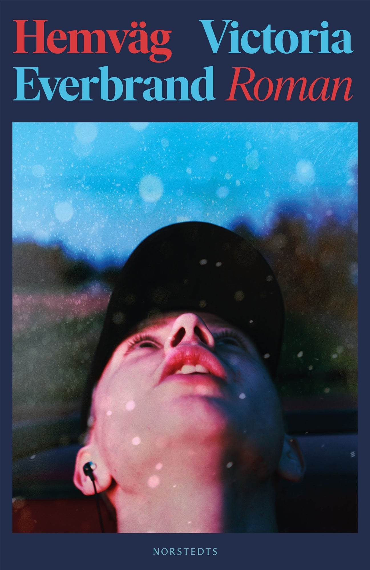 Hemväg – E-bok