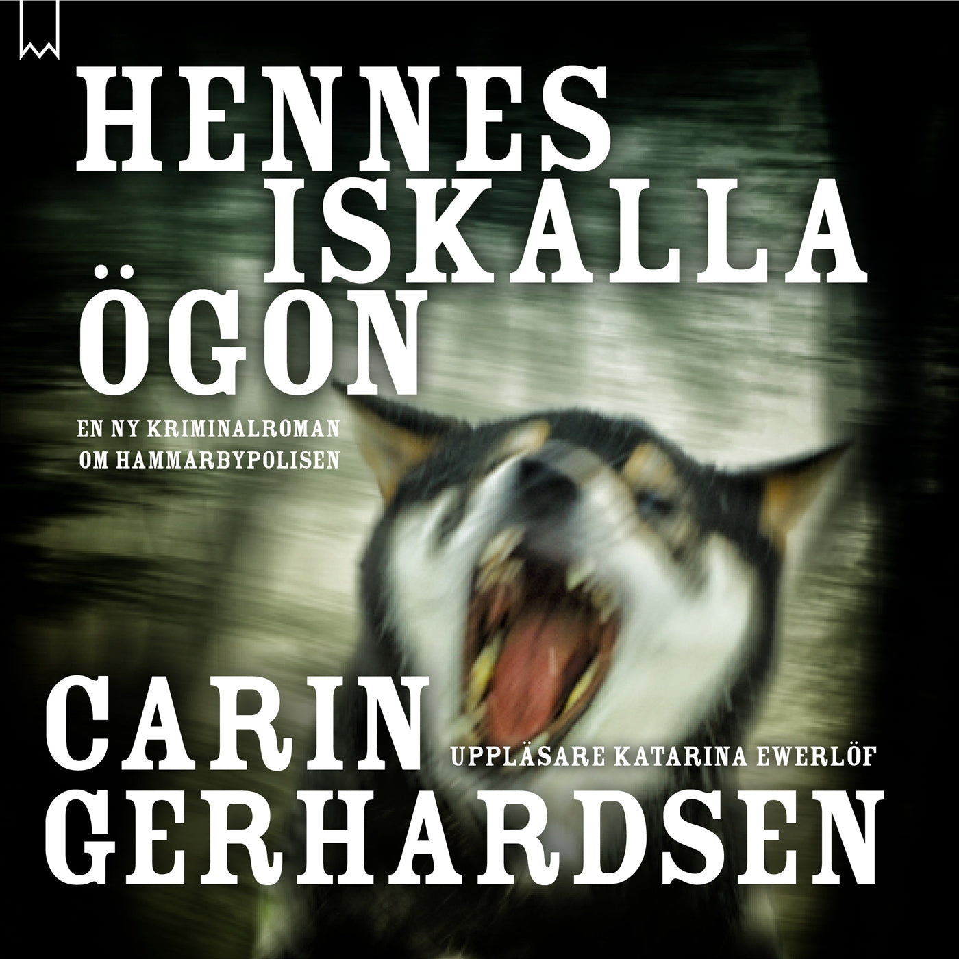 Hennes iskalla ögon – Ljudbok