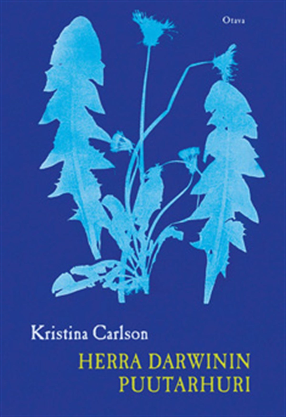 Herra Darwinin puutarhuri – E-bok