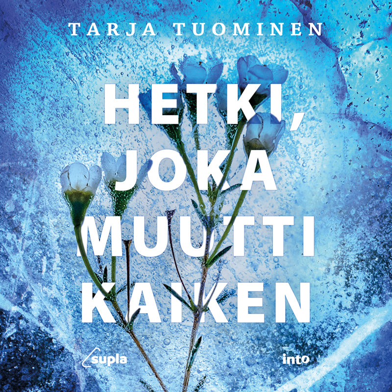Hetki, joka muutti kaiken – E-bok