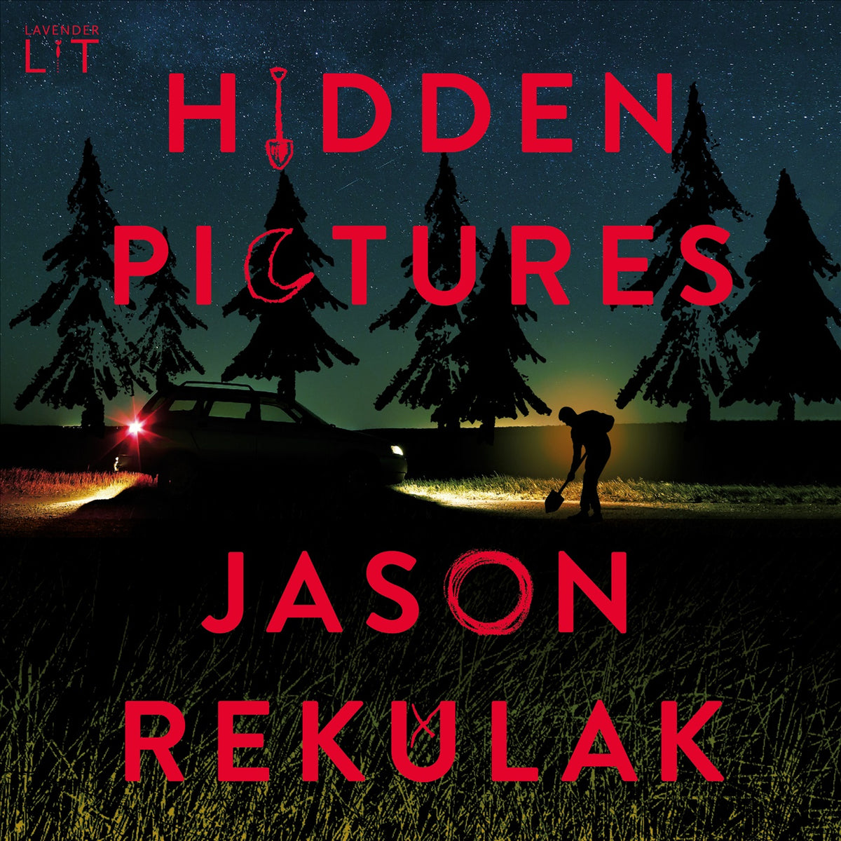 Hidden pictures (svensk utgåva) – Ljudbok