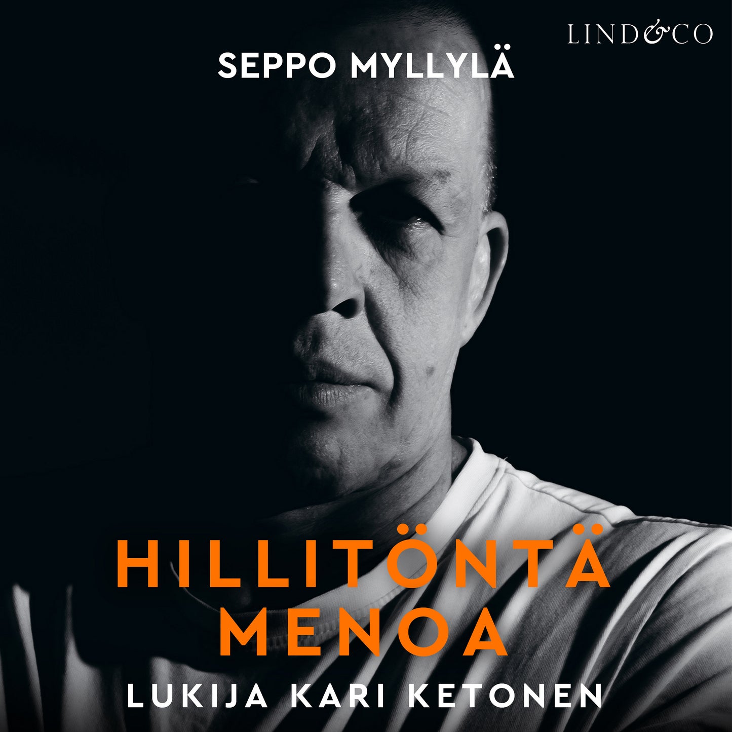 Hillitöntä menoa – Ljudbok