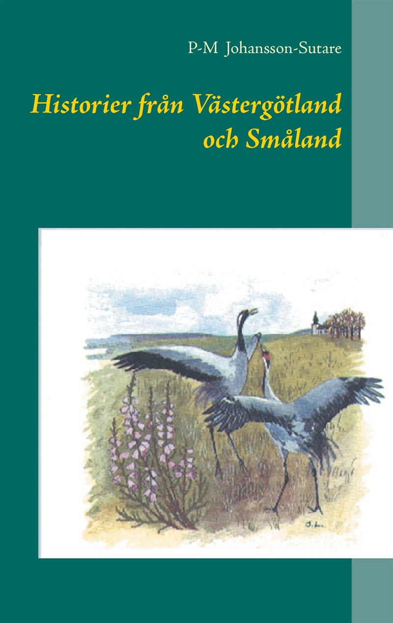 Historier från Västergötland och Småland – E-bok