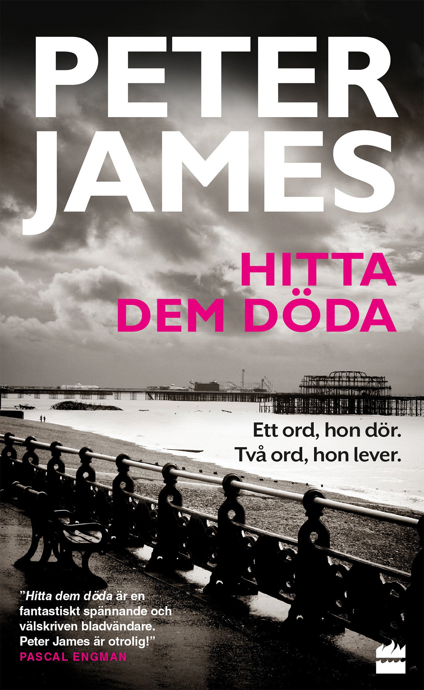 Hitta dem döda – E-bok