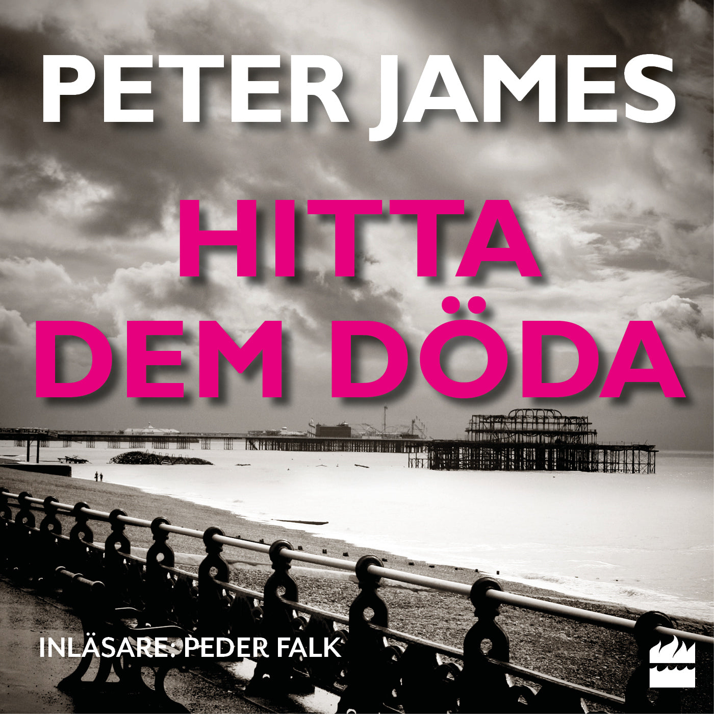 Hitta dem döda – Ljudbok