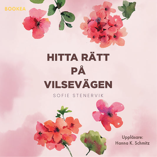 Hitta rätt på Vilsevägen – Ljudbok