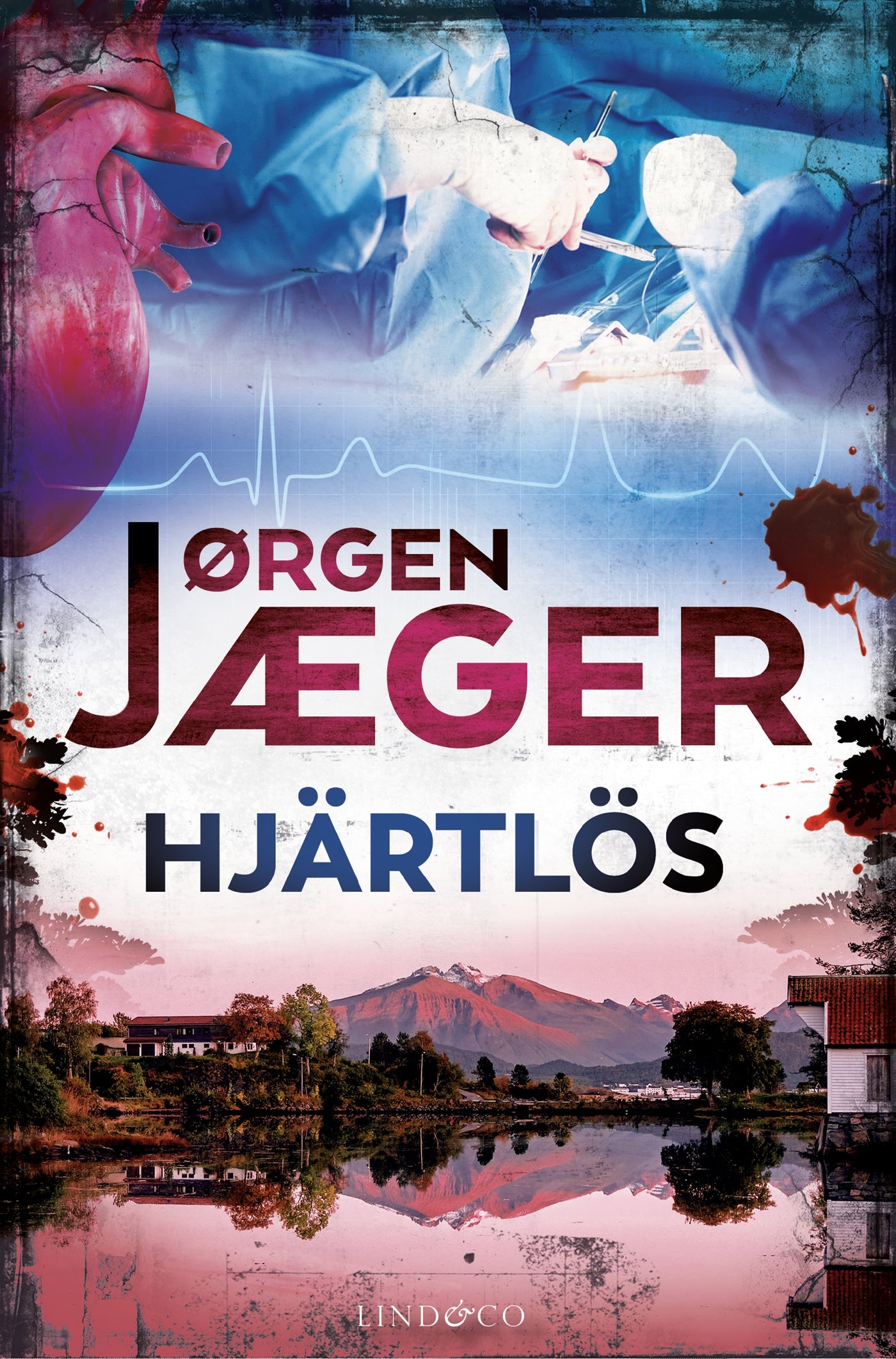Hjärtlös – E-bok