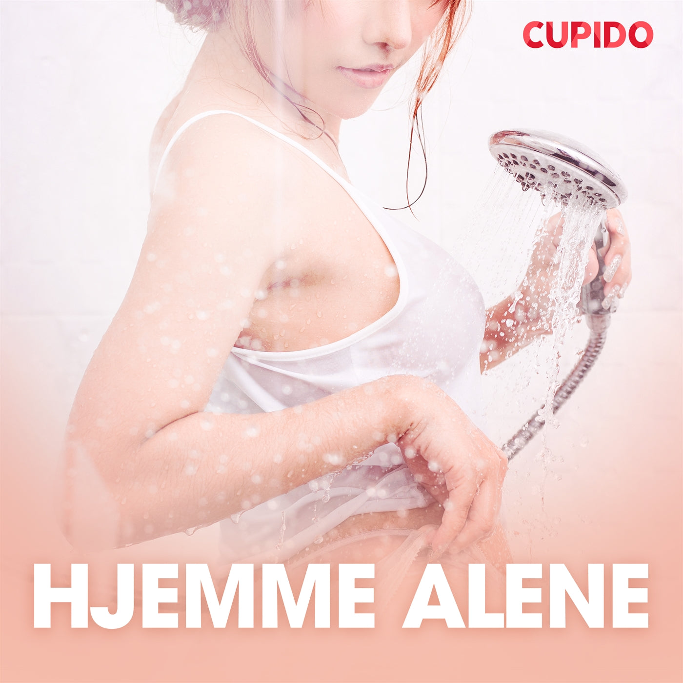 Hjemme alene - erotiske noveller – Ljudbok