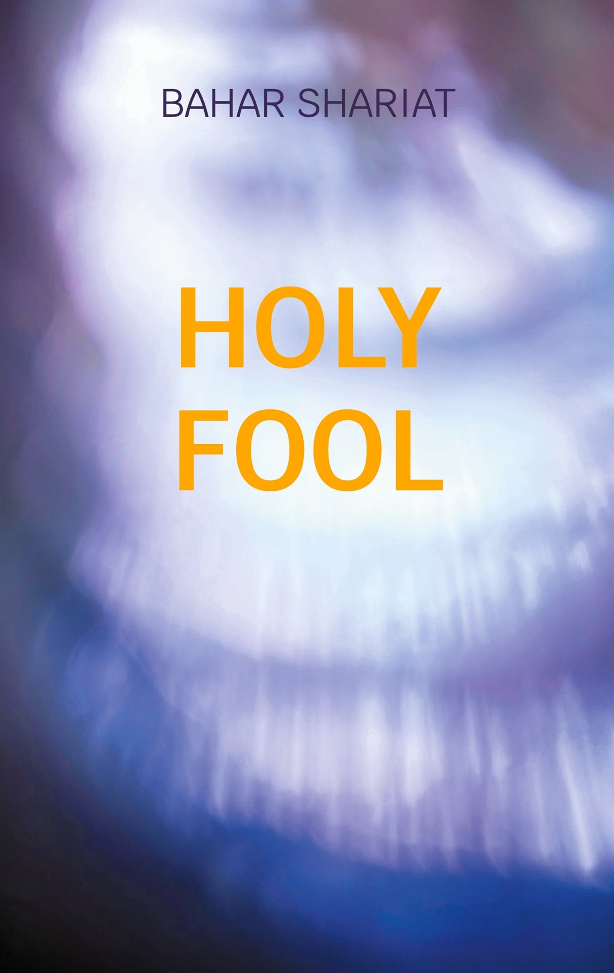 Holy Fool – E-bok