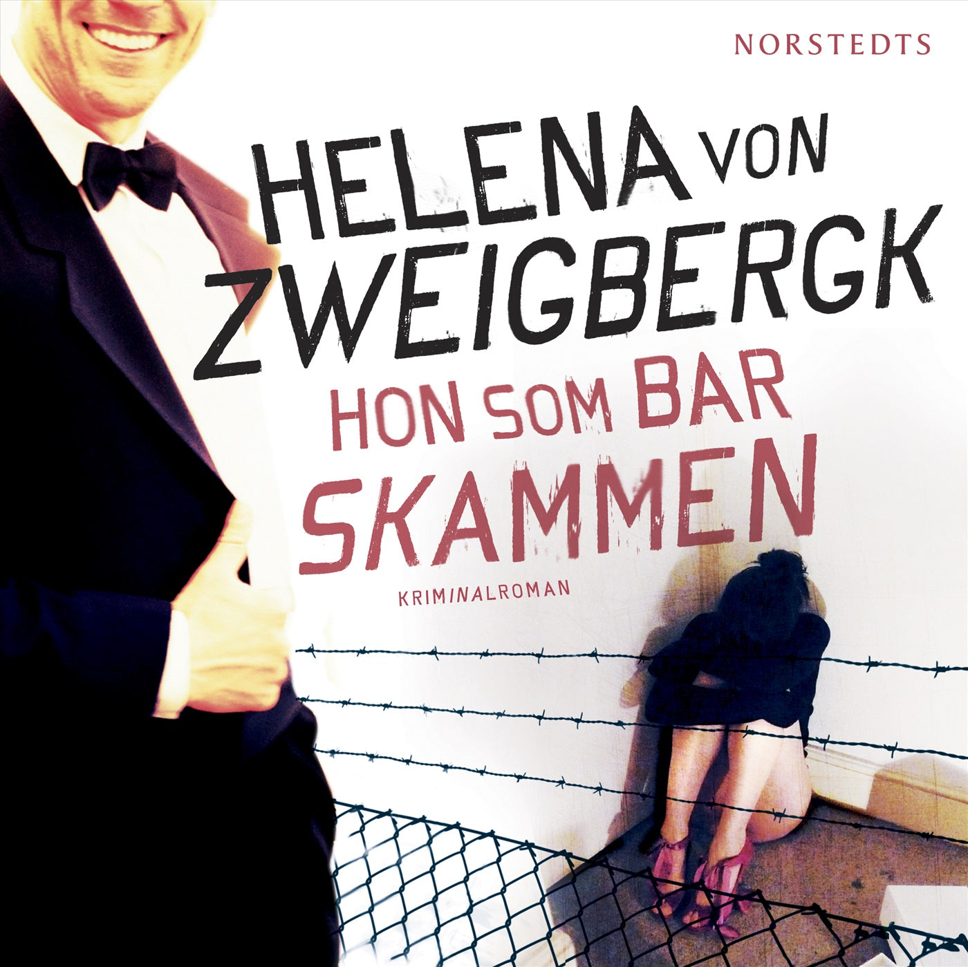 Hon som bar skammen : kriminalroman – Ljudbok