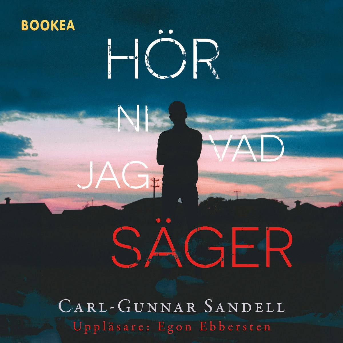Hör ni vad jag säger – Ljudbok