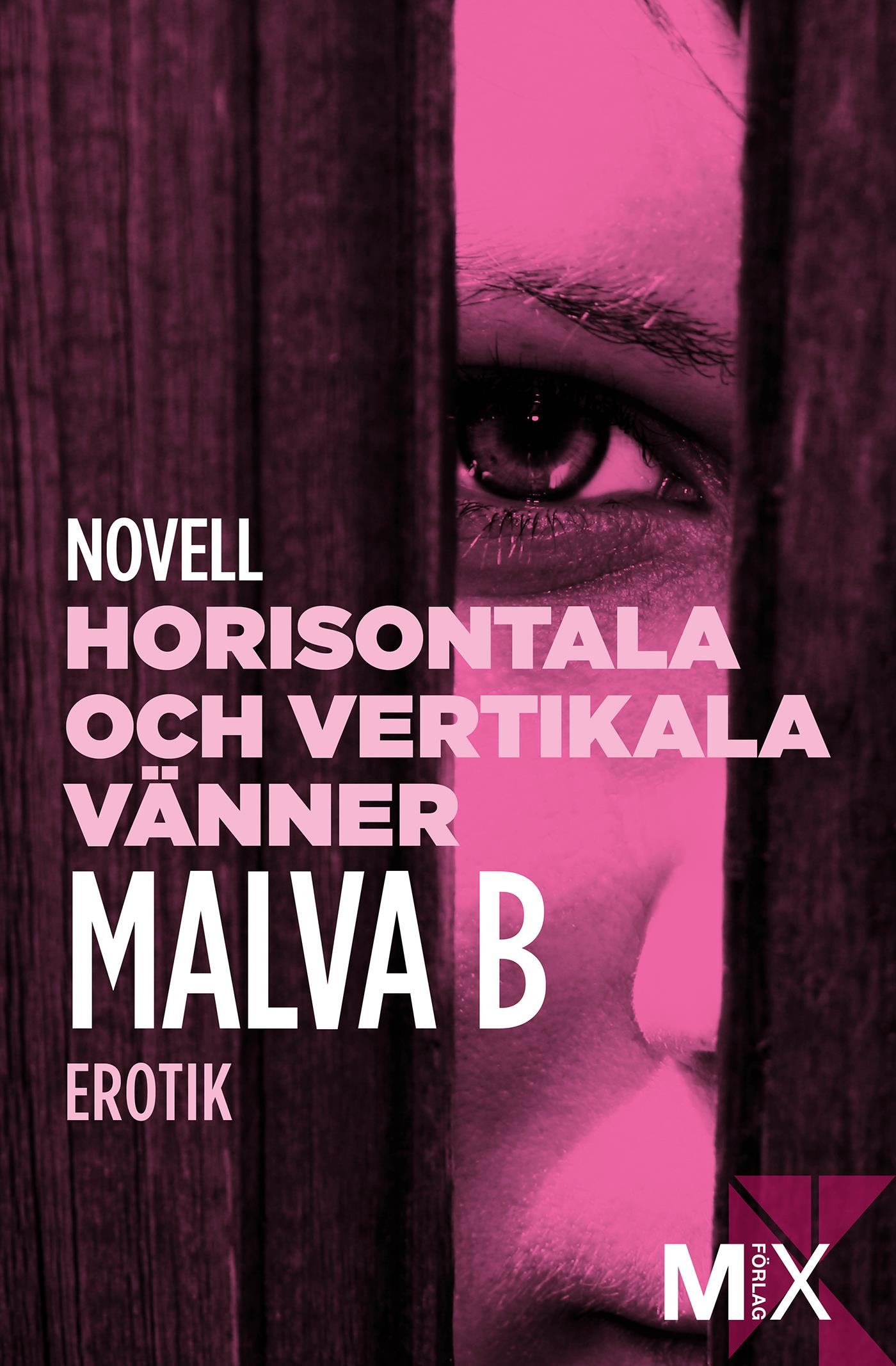 Horisontala och vertikala vänner : en novell ur Begär – E-bok