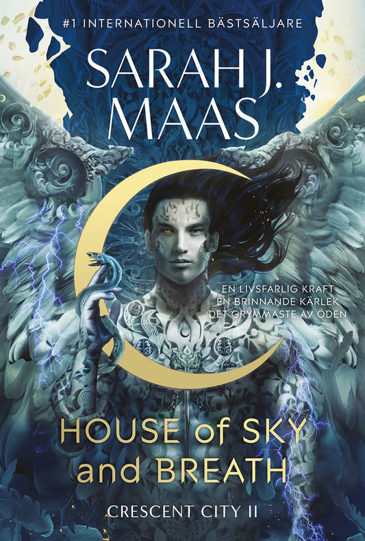 House of Sky and Breath (Svensk utgåva) – E-bok