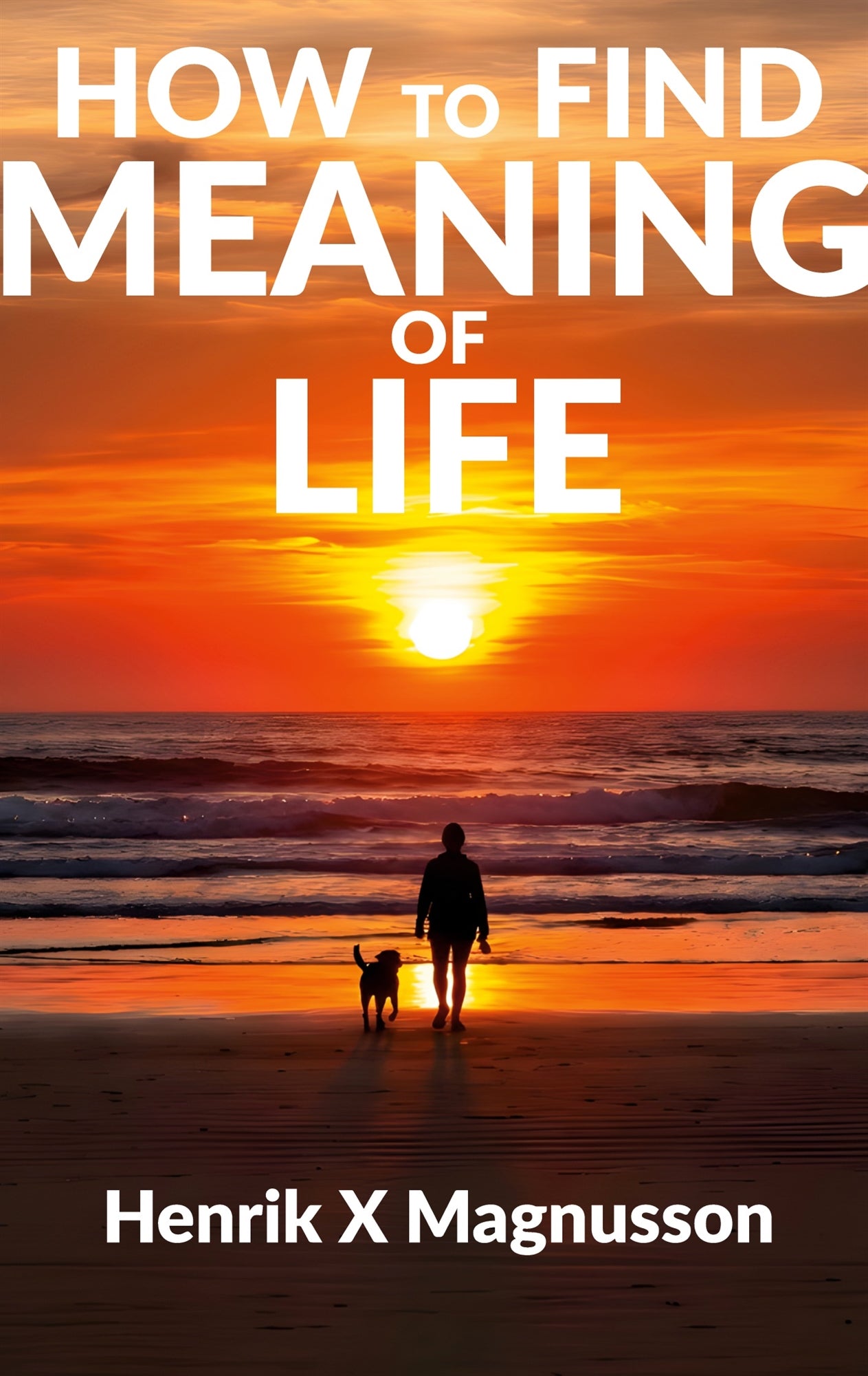 How to Find Meaning of Life: Your guide to life – E-bok