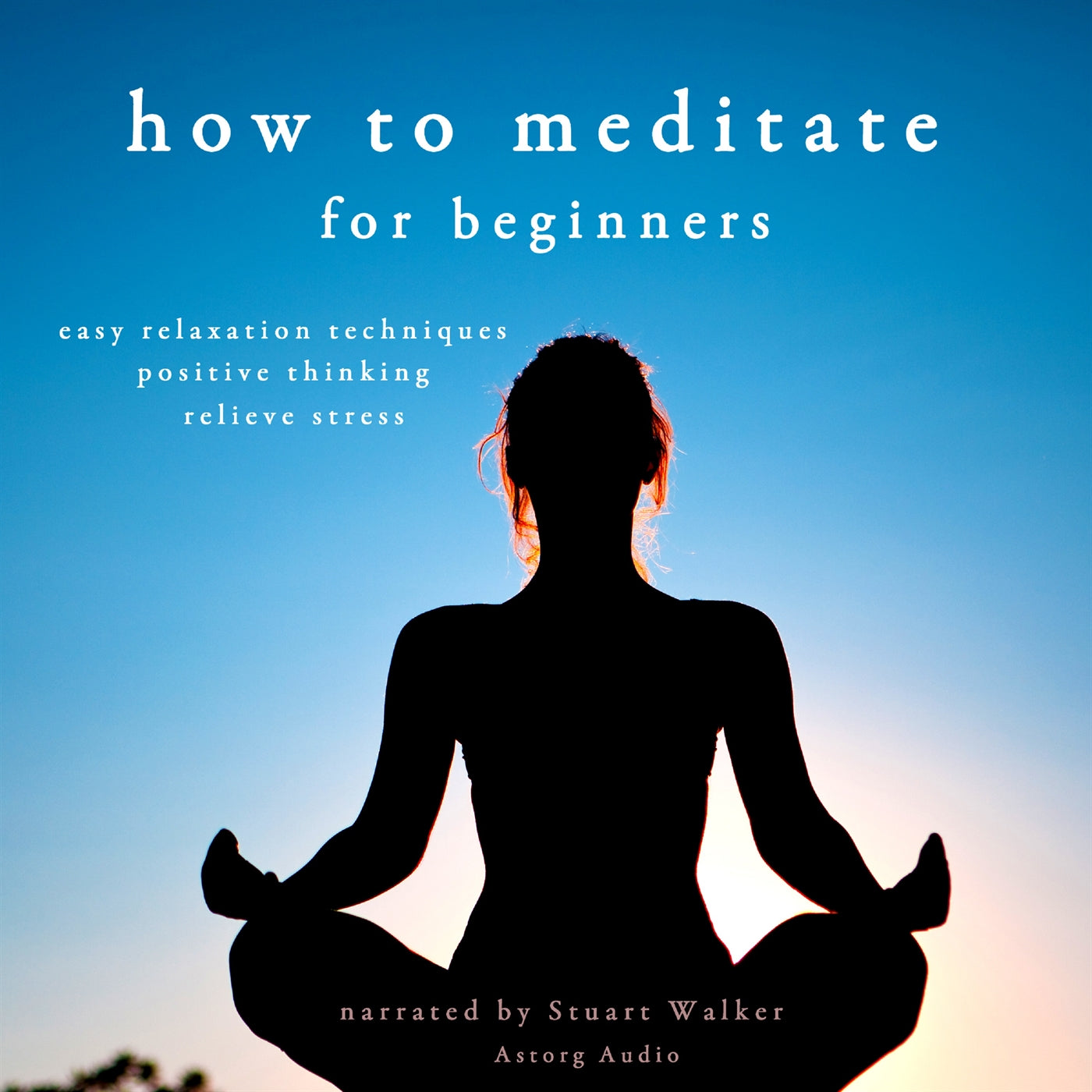 How to Meditate – Ljudbok