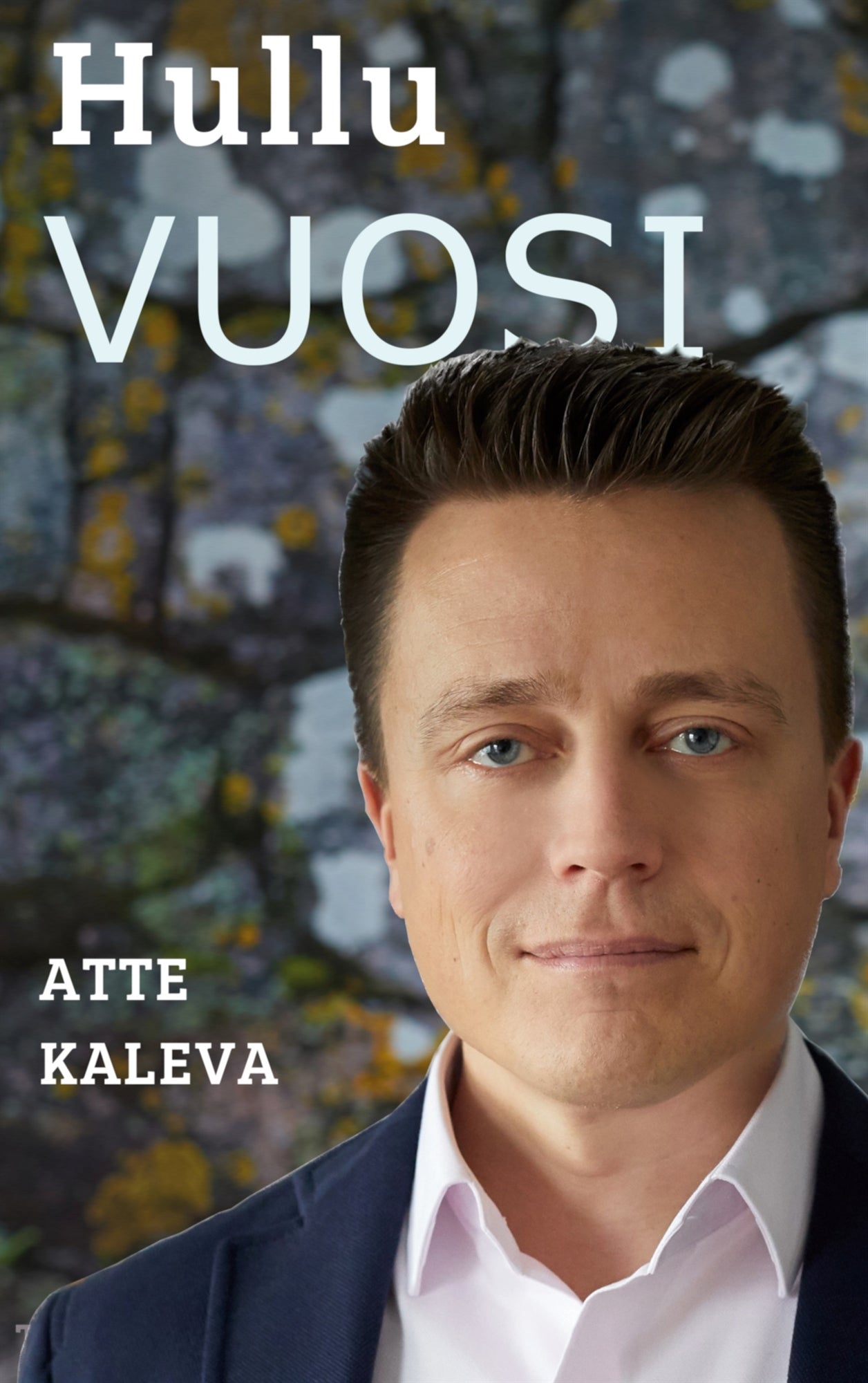 Hullu vuosi: Teesejä paremman Suomen rakentamiseen – E-bok