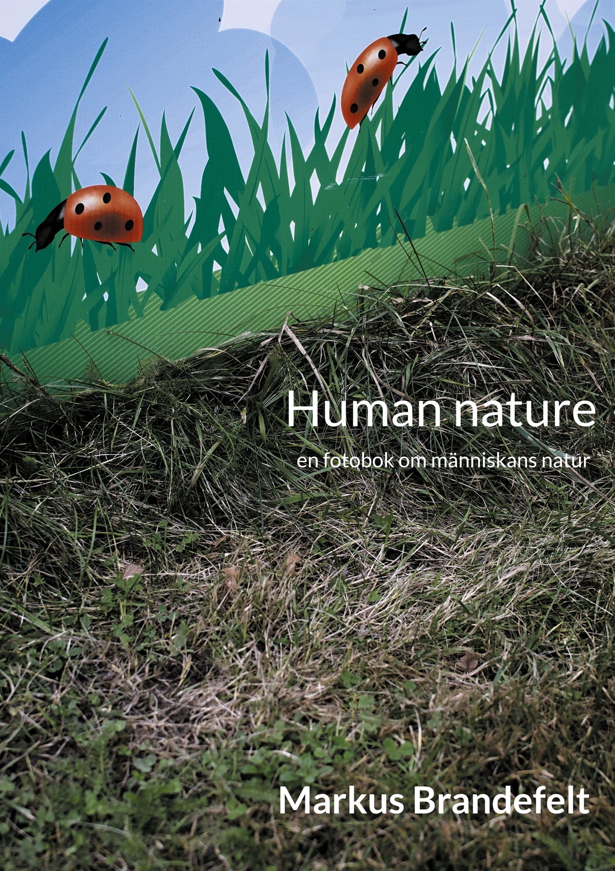 Human nature: en fotobok om människans natur – E-bok