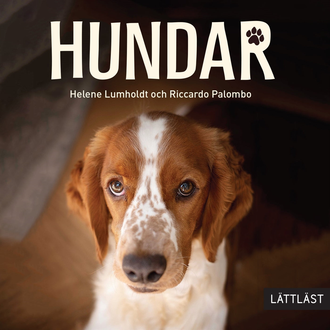 Hundar (lättläst) – Ljudbok