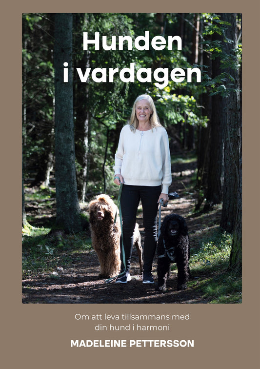 Hunden i vardagen: Om att leva med din hund i harmoni – E-bok