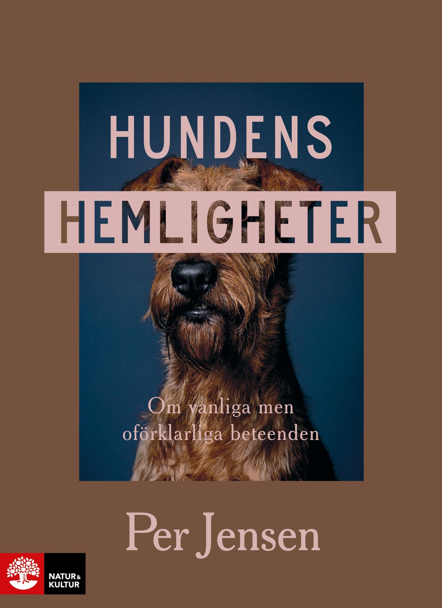 Hundens hemligheter : om vanliga men oförklarliga beteenden – E-bok
