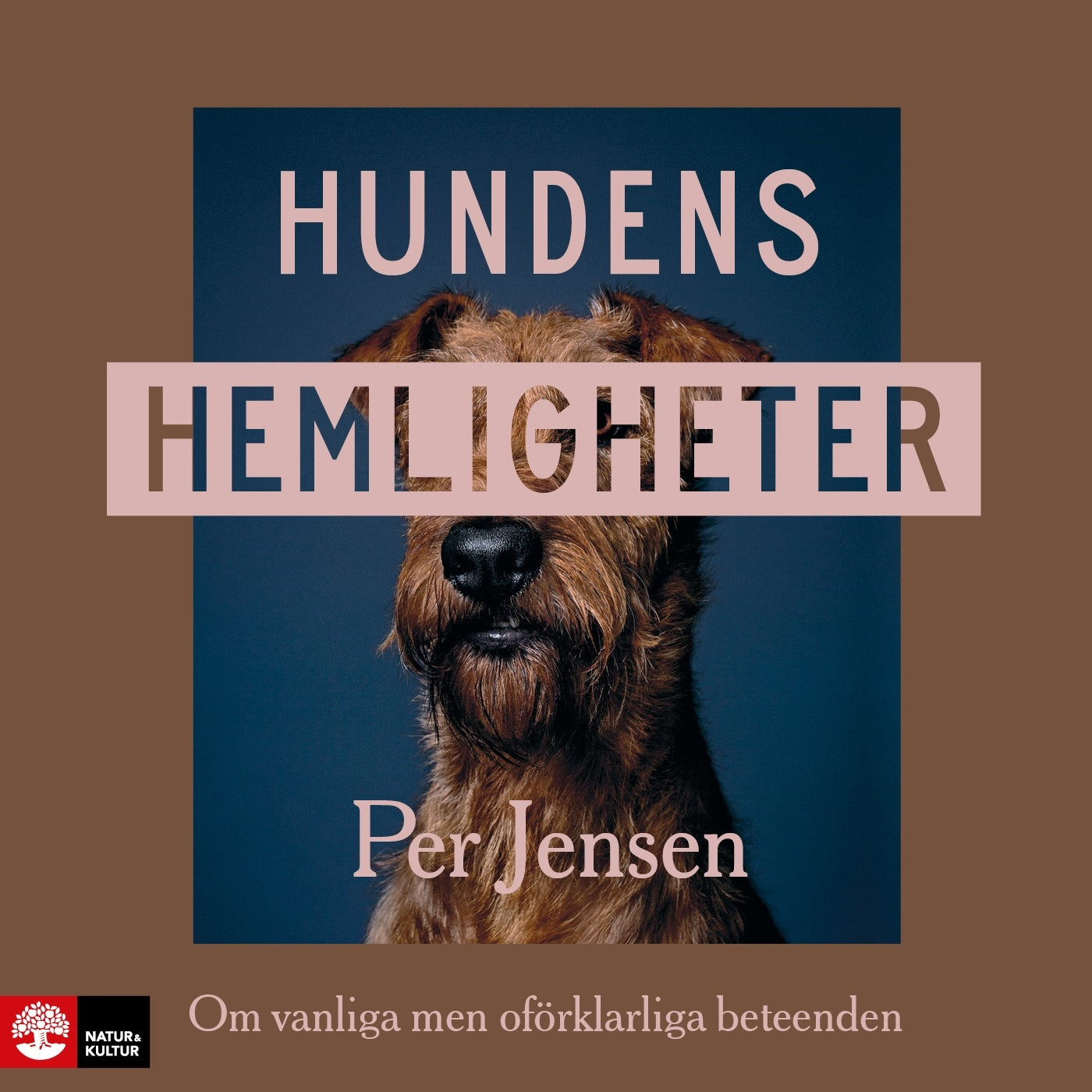 Hundens hemligheter : om vanliga men oförklarliga beteenden – Ljudbok