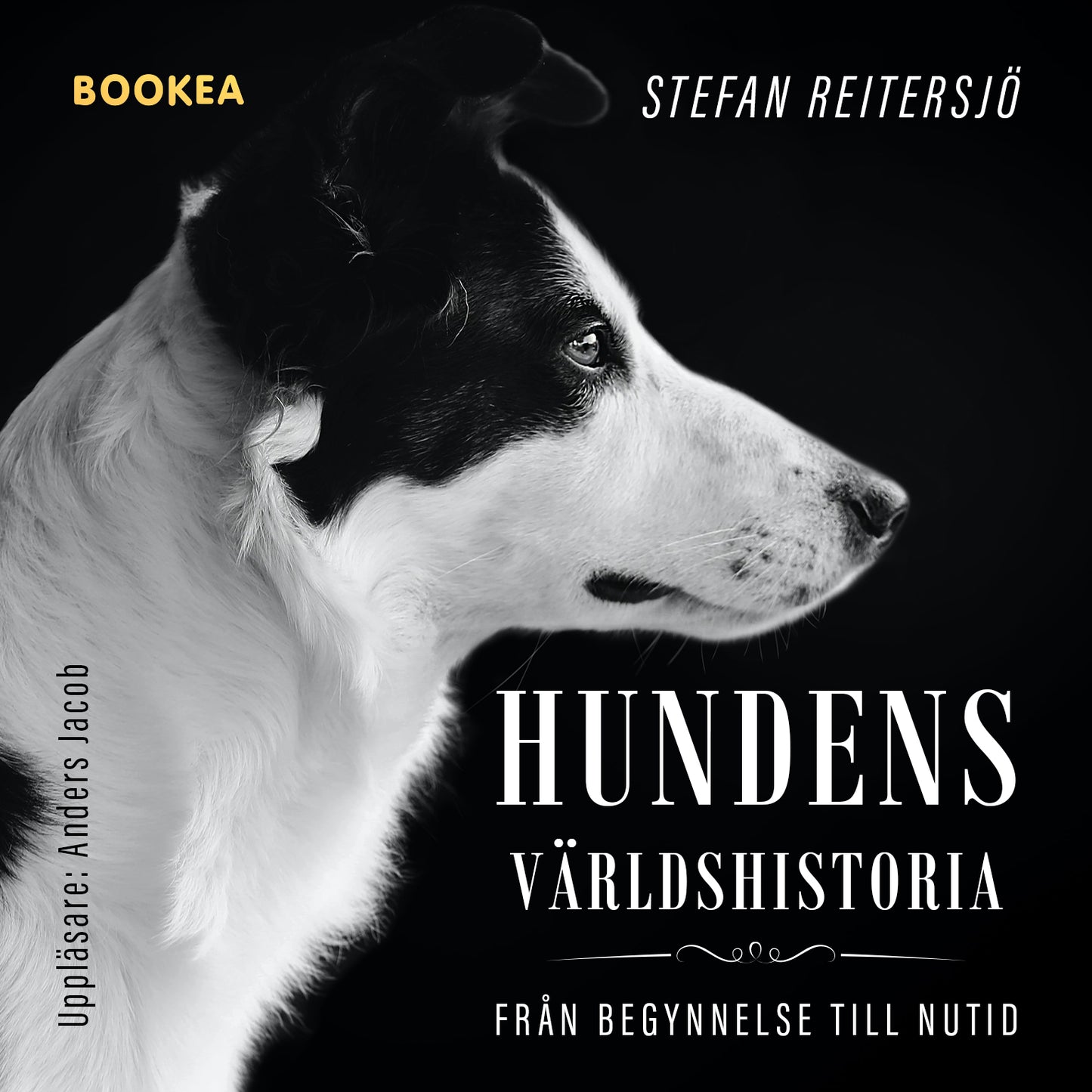 Hundens världshistoria : från begynnelse till nutid – Ljudbok