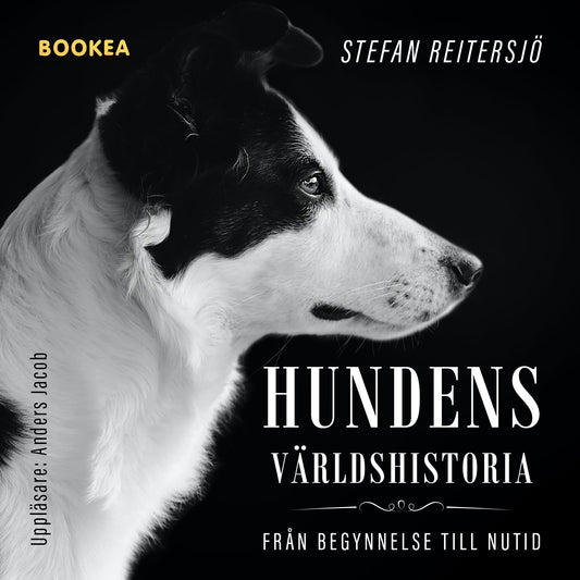 Hundens världshistoria : från begynnelse till nutid – Ljudbok