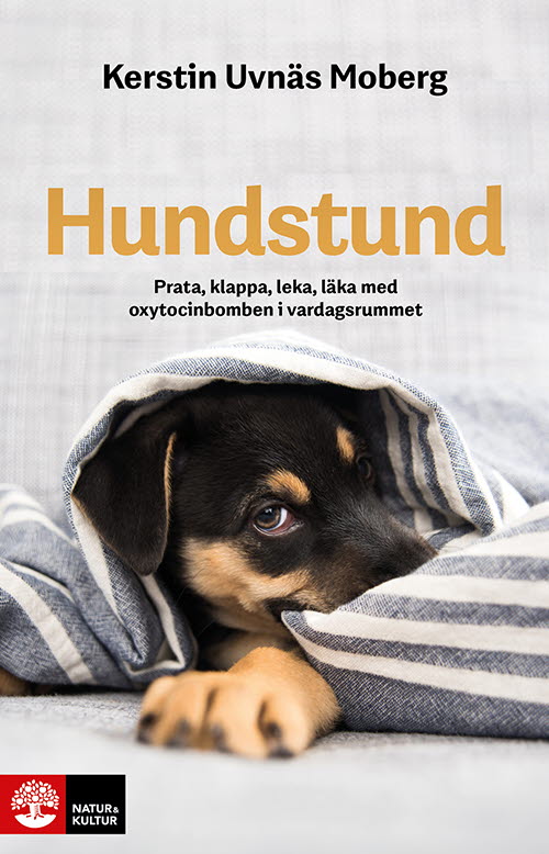 Hundstund : Prata, klappa, leka, läka med oxytocinbomben i vardagsrummet – E-bok