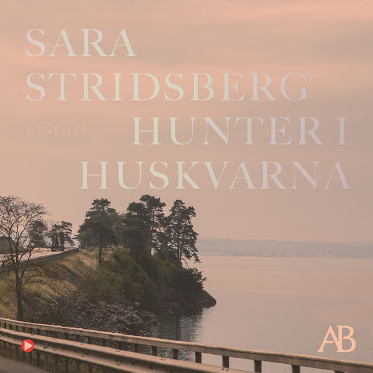 Hunter i Huskvarna – Ljudbok