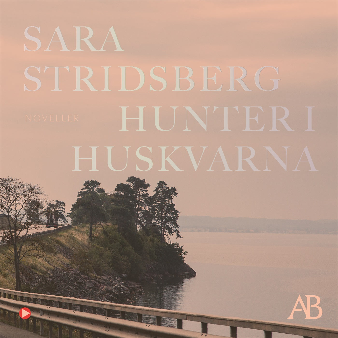 Hunter i Huskvarna – Ljudbok