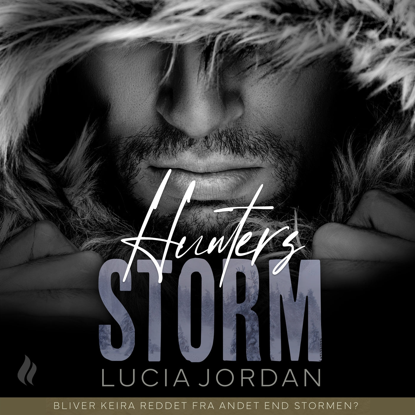 Hunters storm – Ljudbok