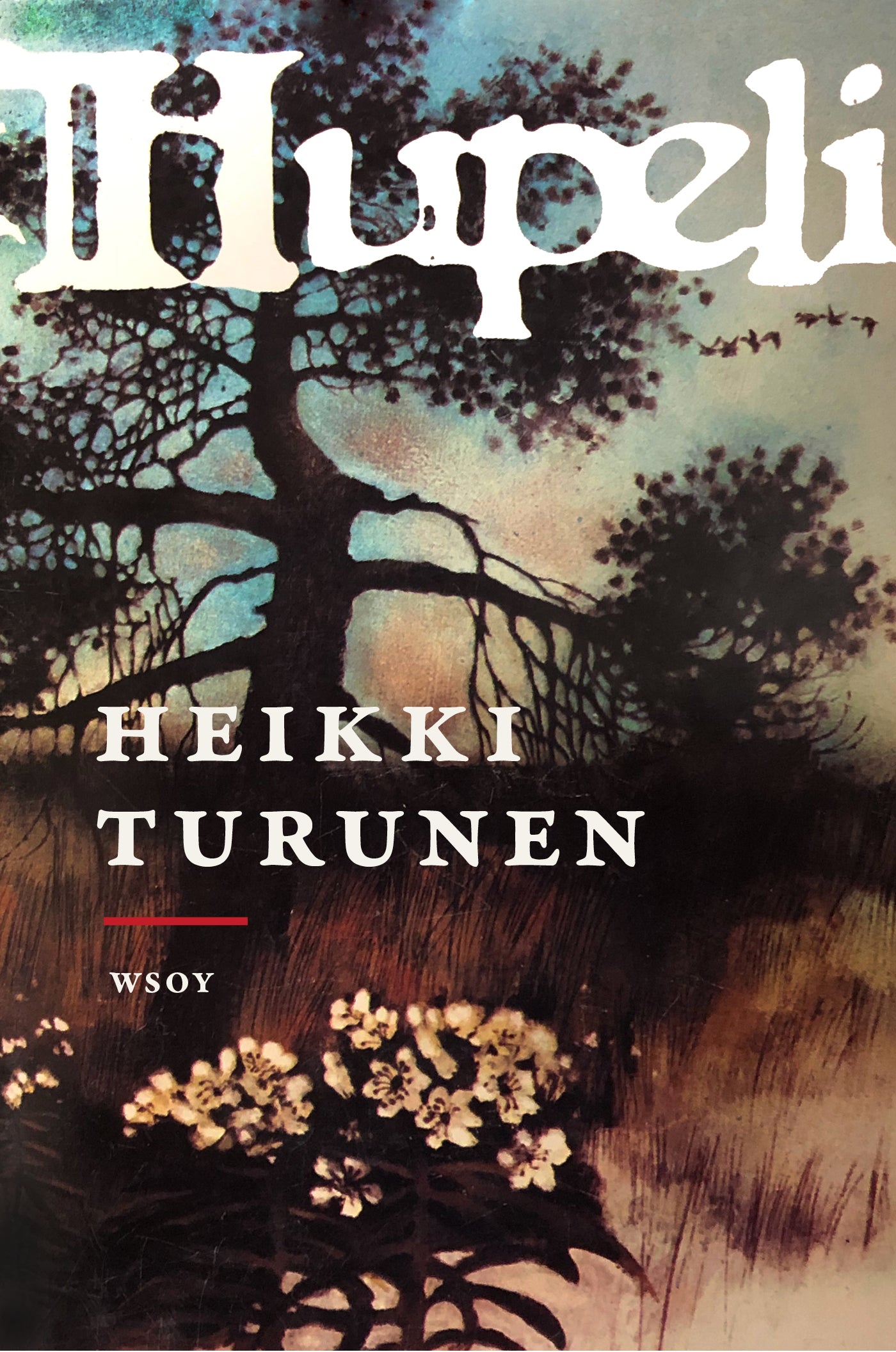Hupeli – E-bok