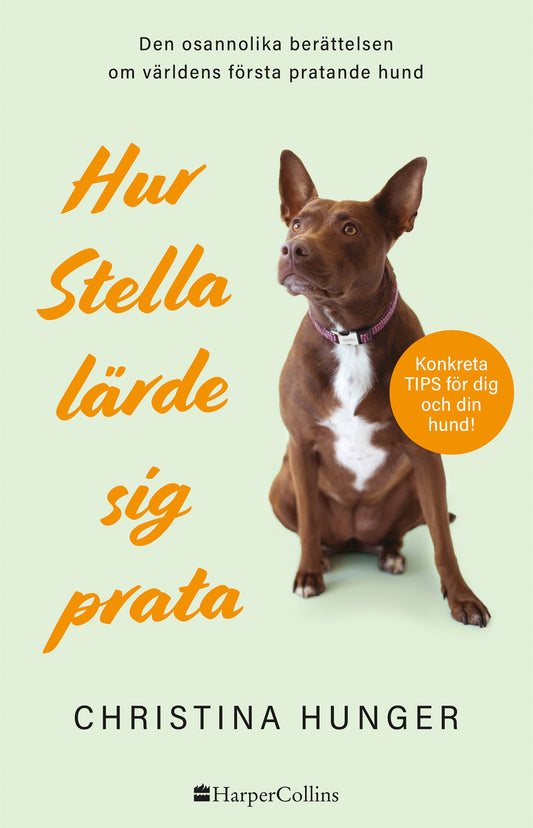 Hur Stella lärde sig prata – E-bok
