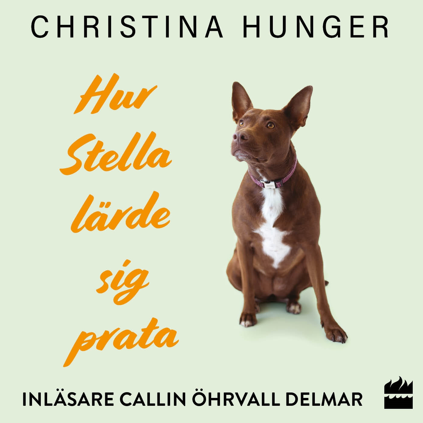 Hur Stella lärde sig prata – Ljudbok