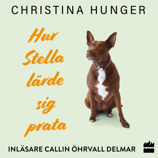 Hur Stella lärde sig prata – Ljudbok