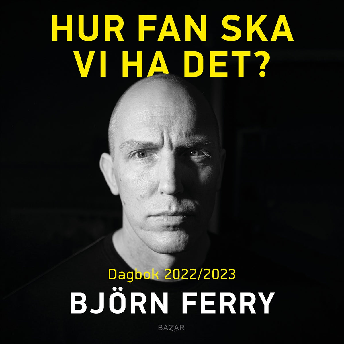 Hur fan ska vi ha det? : Dagbok 2022/2023 – Ljudbok
