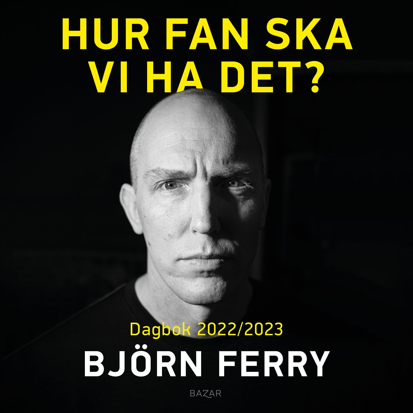 Hur fan ska vi ha det? : Dagbok 2022/2023 – Ljudbok