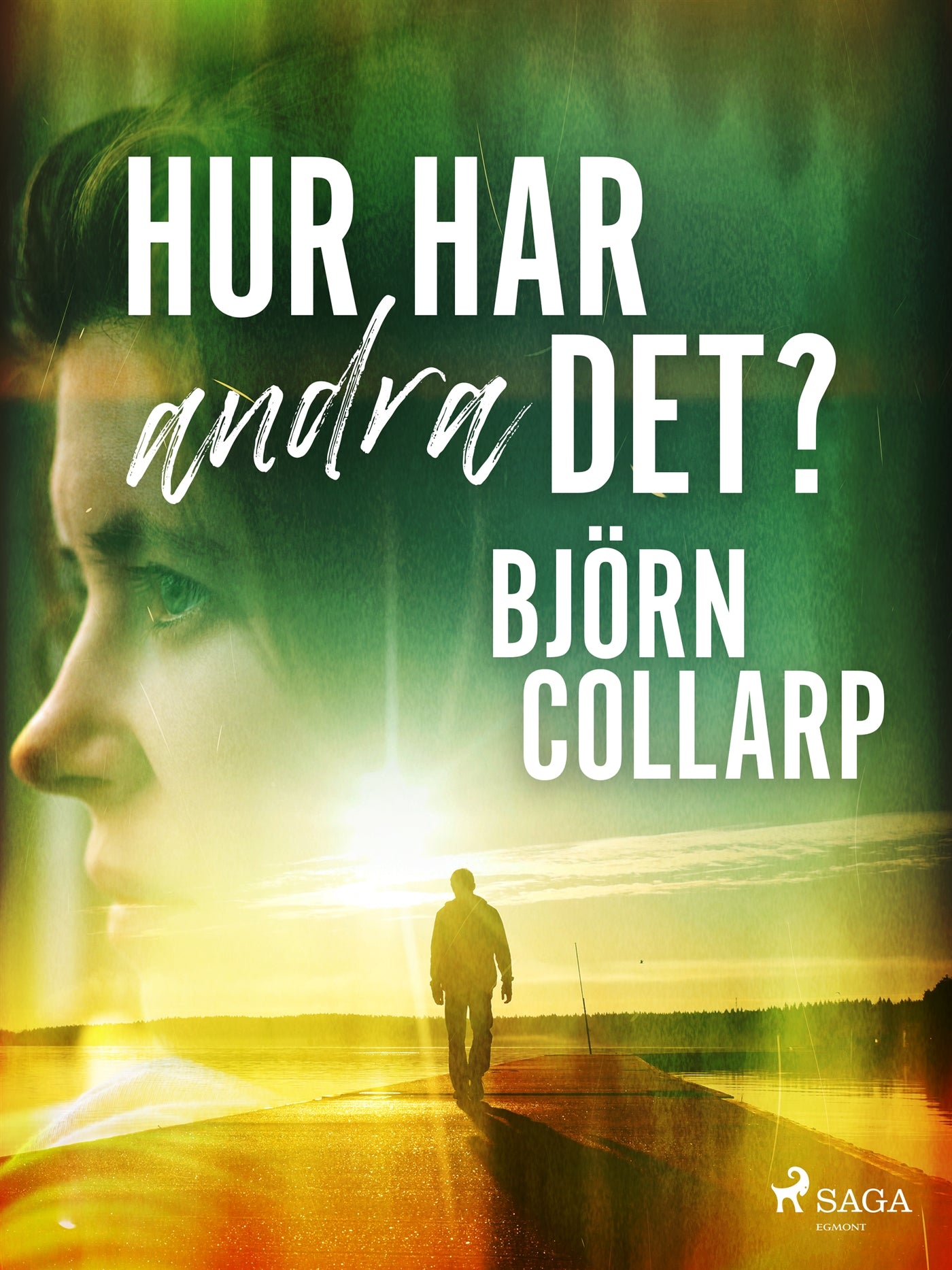 Hur har andra det? – E-bok