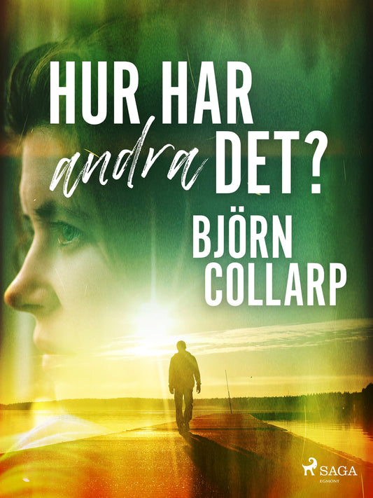Hur har andra det? – E-bok