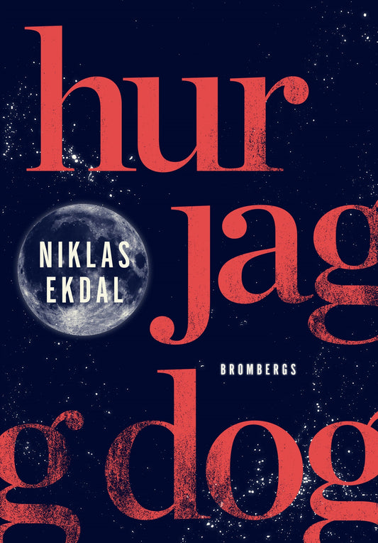 Hur jag dog : och fick klart för mig hur allt hänger ihop – E-bok