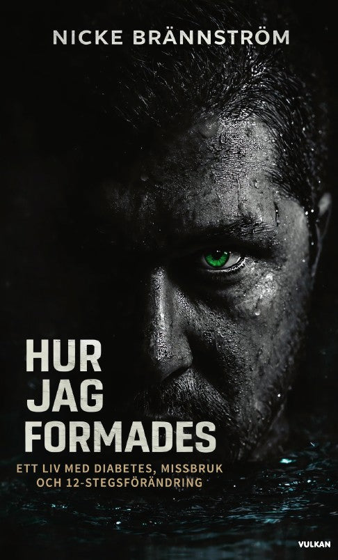 Hur jag formades : ett liv med diabetes, missbruk och 12-stegsförändring – E-bok