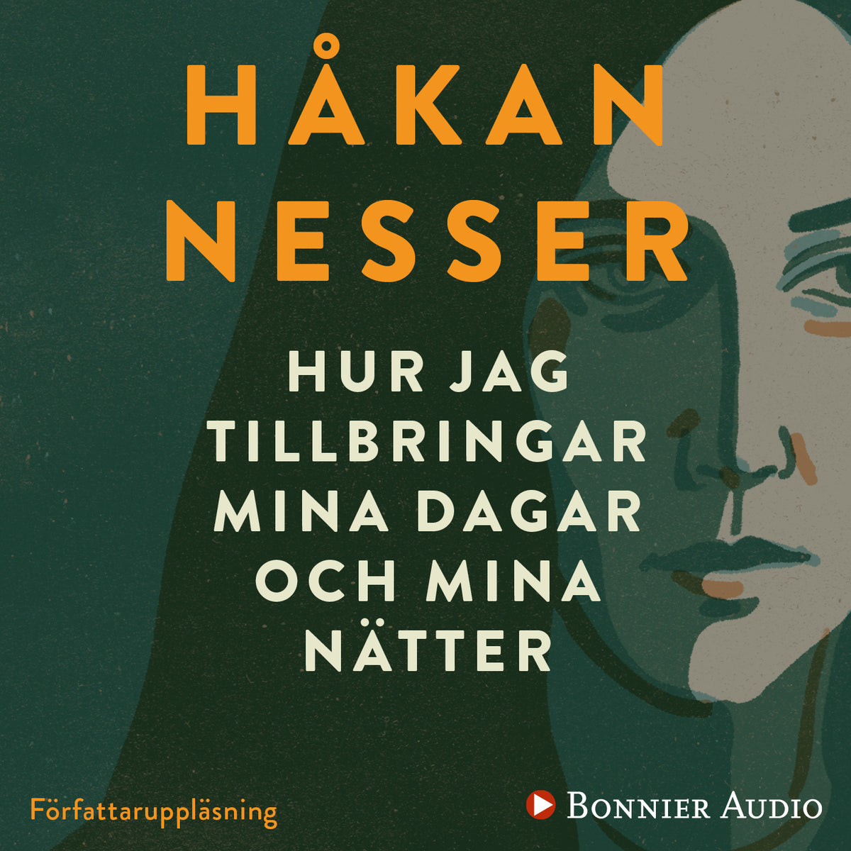 Hur jag tillbringar mina dagar och mina nätter – Ljudbok