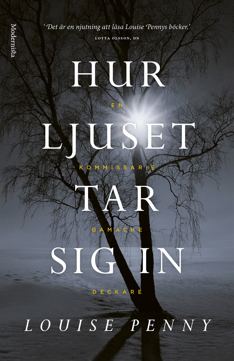 Hur ljuset tar sig in (En kommissarie Gamache-deckare) – E-bok