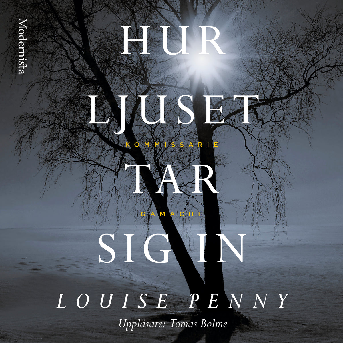 Hur ljuset tar sig in – Ljudbok