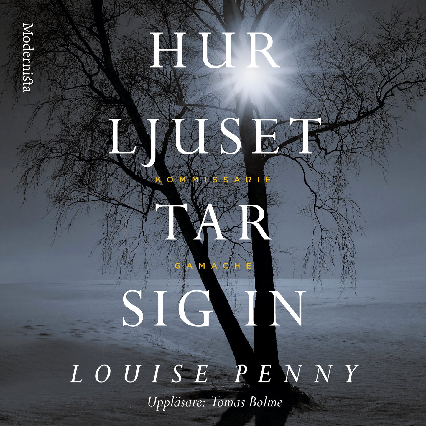 Hur ljuset tar sig in – Ljudbok